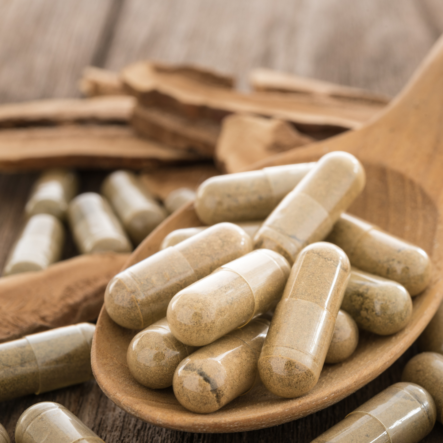Chaga Capsules