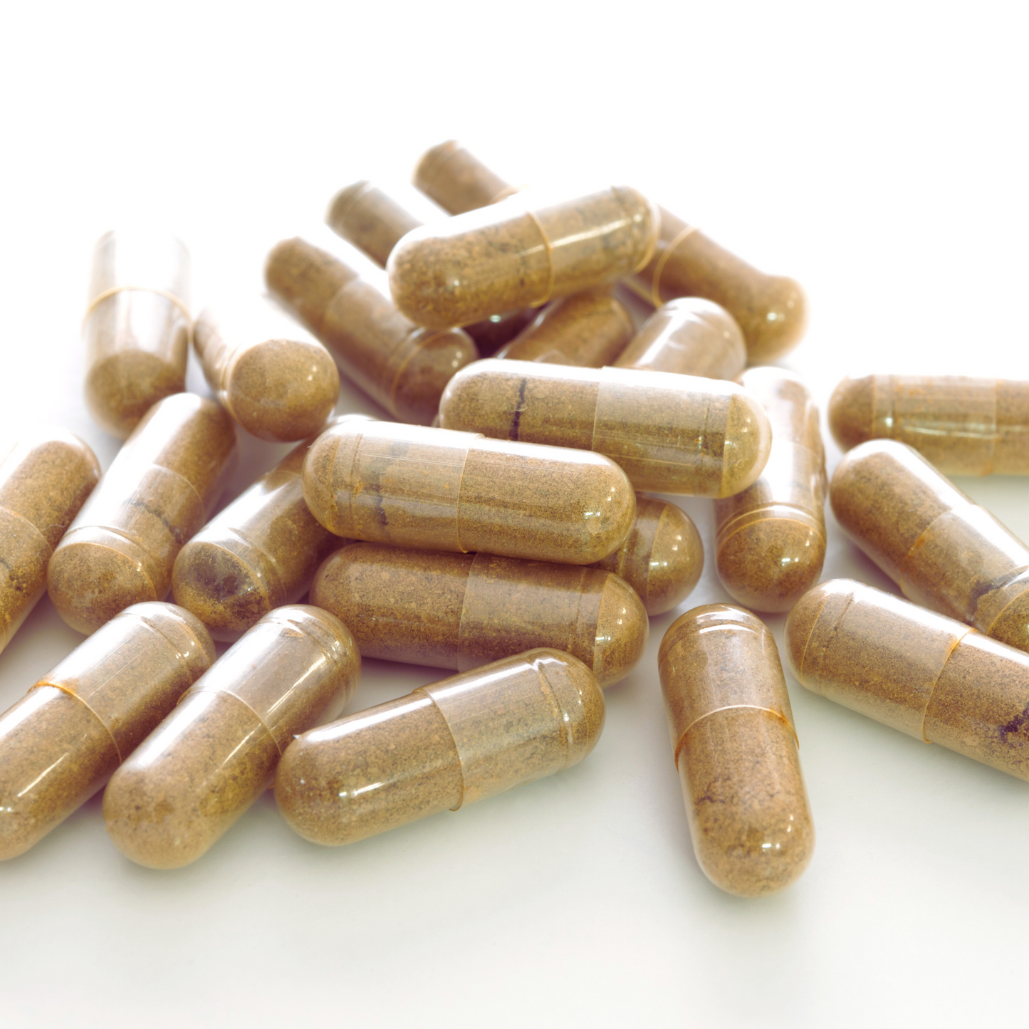 Cordyceps Organic Capsules – Bulk & Private Label