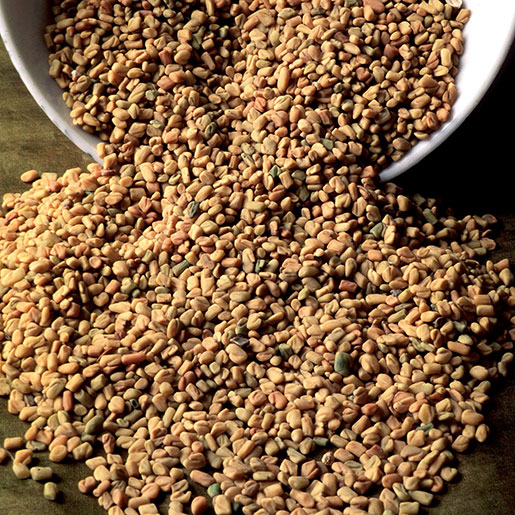 Fenugreek powder – Bulk & Private Label