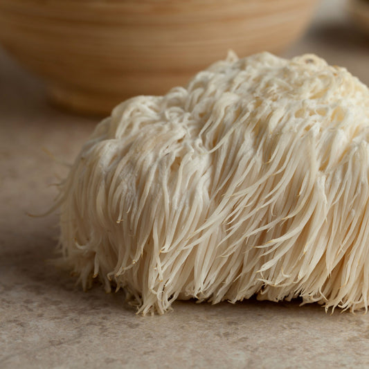 Lion's Mane Mushroom Powder in bulk – wholesale & private label