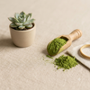Green Tea extract Powder – Bulk & Private Label