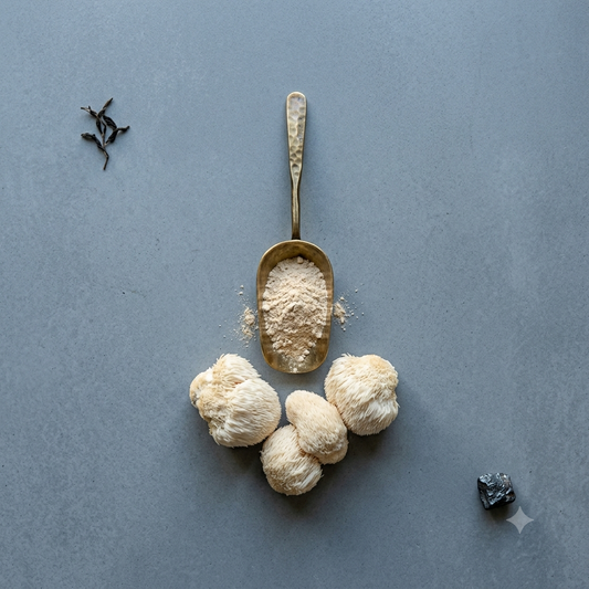 Lions Mane Capsules – Bulk & Private Label