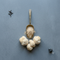 Lion's Mane Capsules in bulk – wholesale & private label