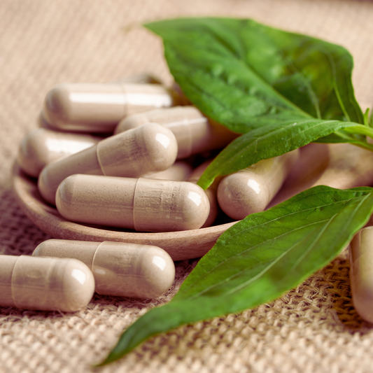 Ginko Biloba Capsules