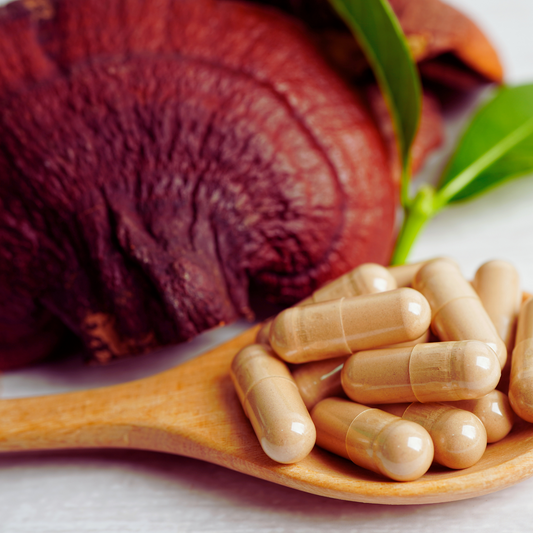 Reishi Capsules